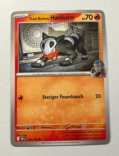 Nintendo pokémon tcg - pokémon,