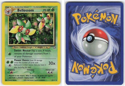 Pokémon vintage wotc - vintage,